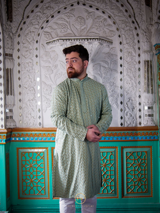 TNC Premium Chikan Kari Kurta Set
