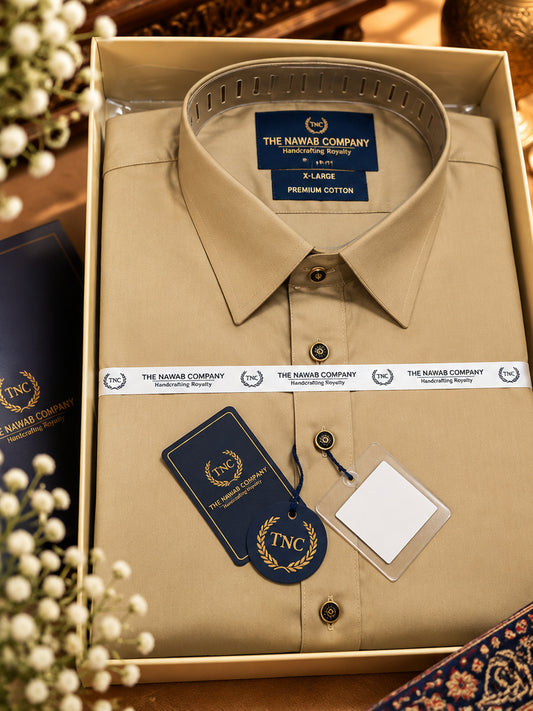 TNC BEIGE PATHANI KURTA