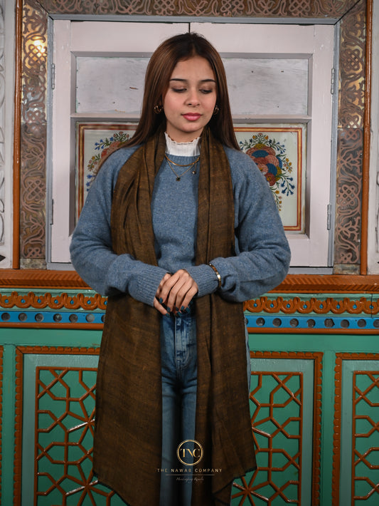 Women's Premium Pure Pashmina Classic Stole
