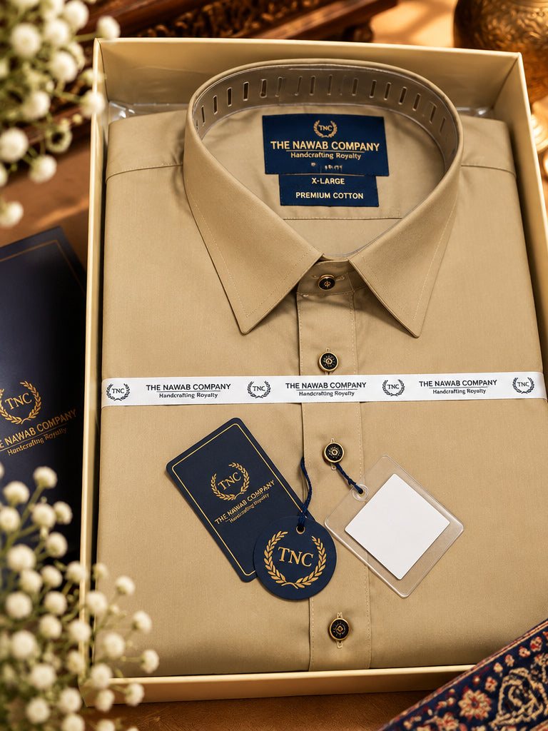 TNC BEIGE PATHANI KURTA