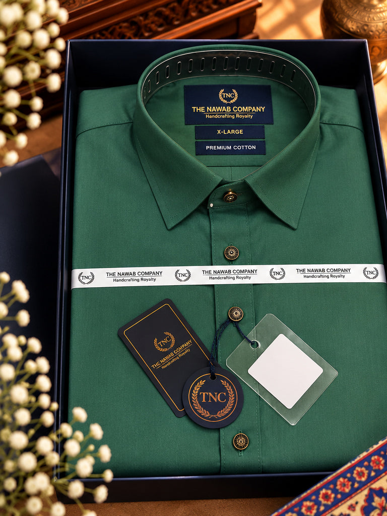 TNC EMERALD GREEN PATHANI KURTA